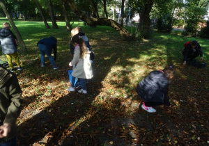 Dzieci w przysiadzie zbierają kasztany z ziemi, która pokryta jest brązowymi liśćmi.